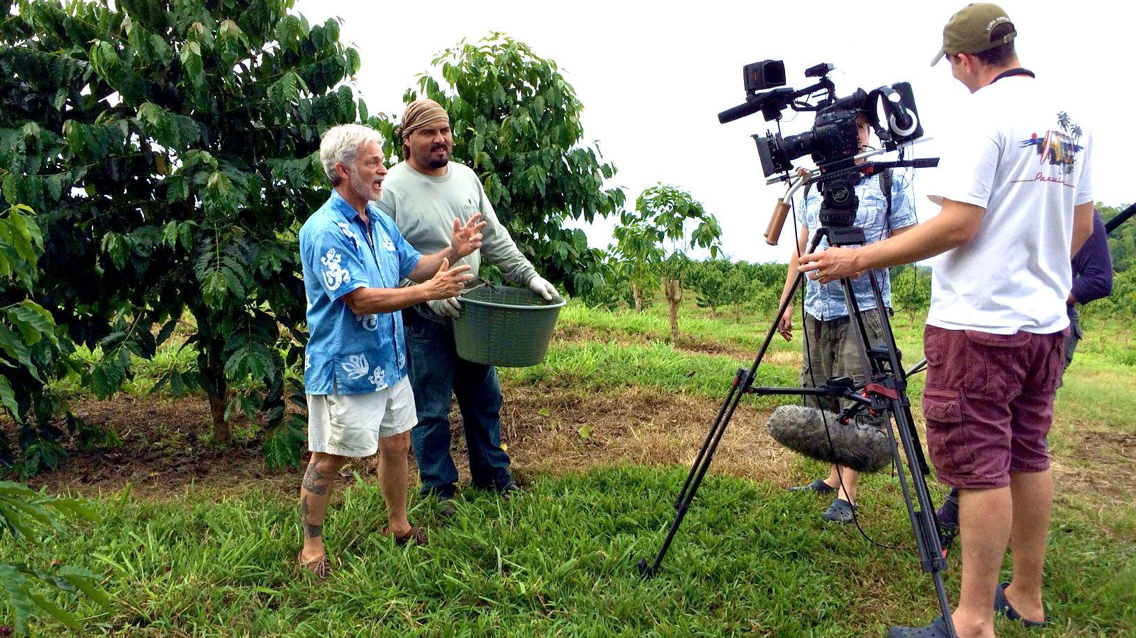 Coffee: The Drink That Changed America