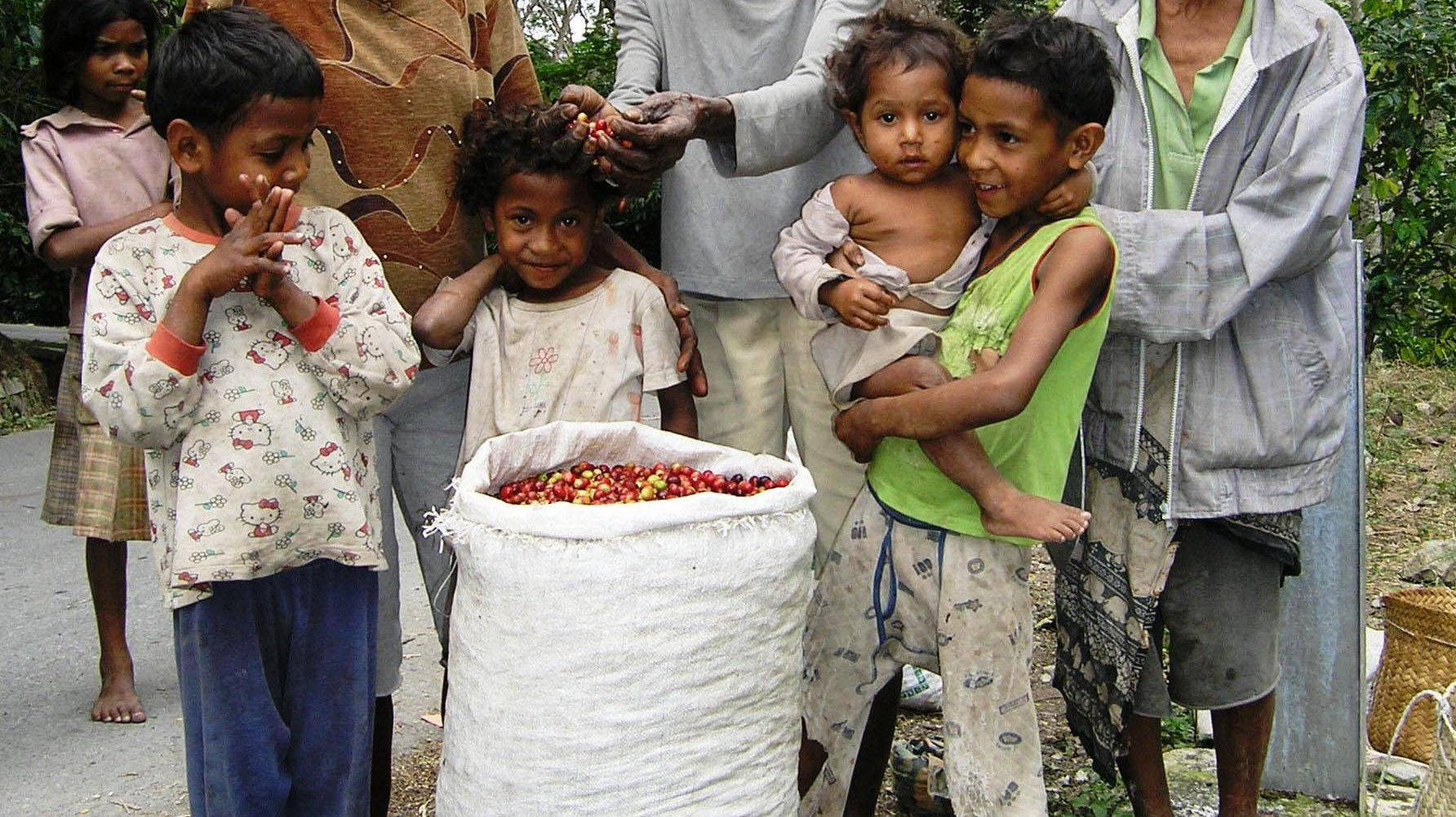 A Taste of Timor