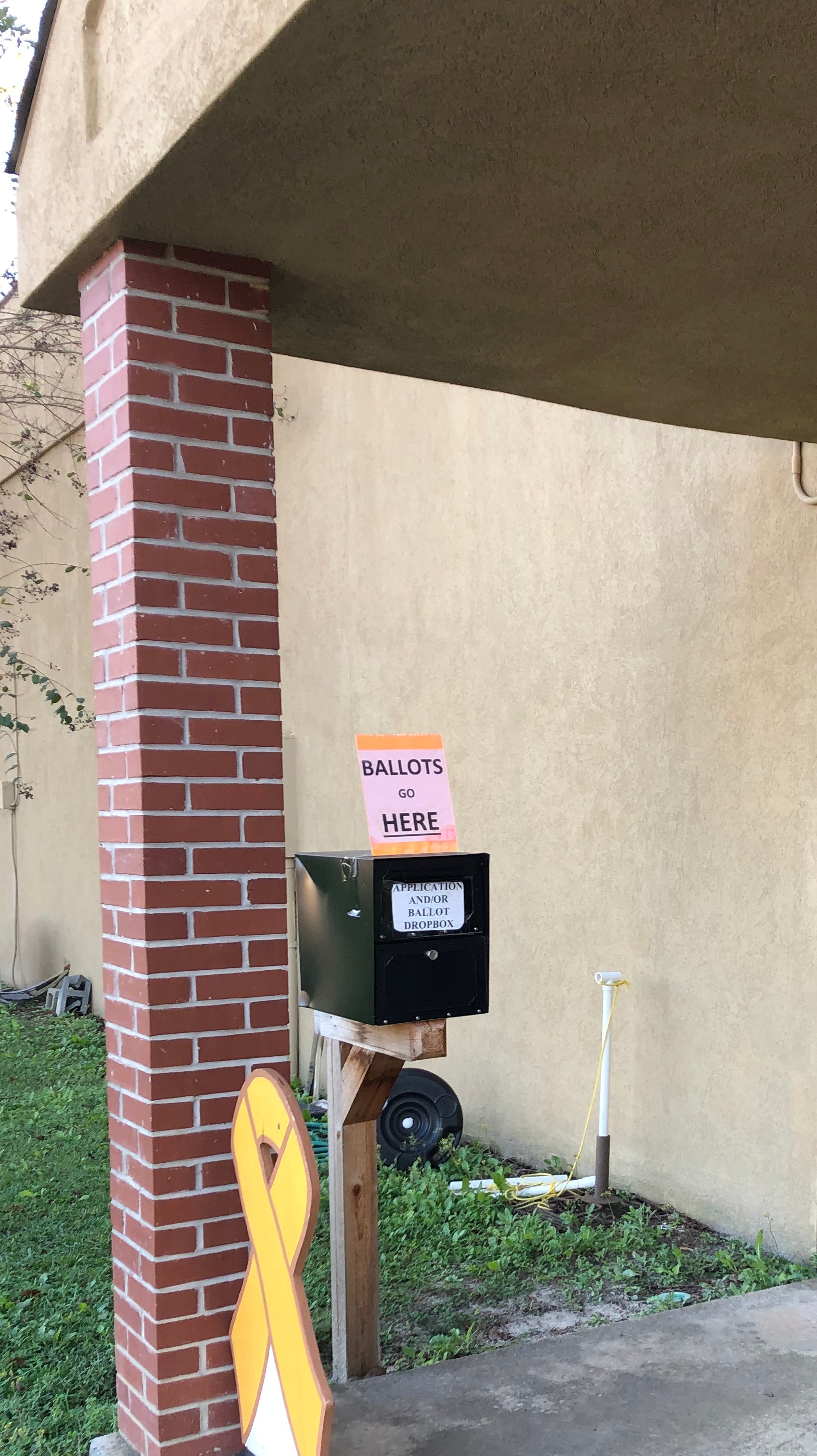 Georgia on My Mind: A Tale from One Poll-Watcher