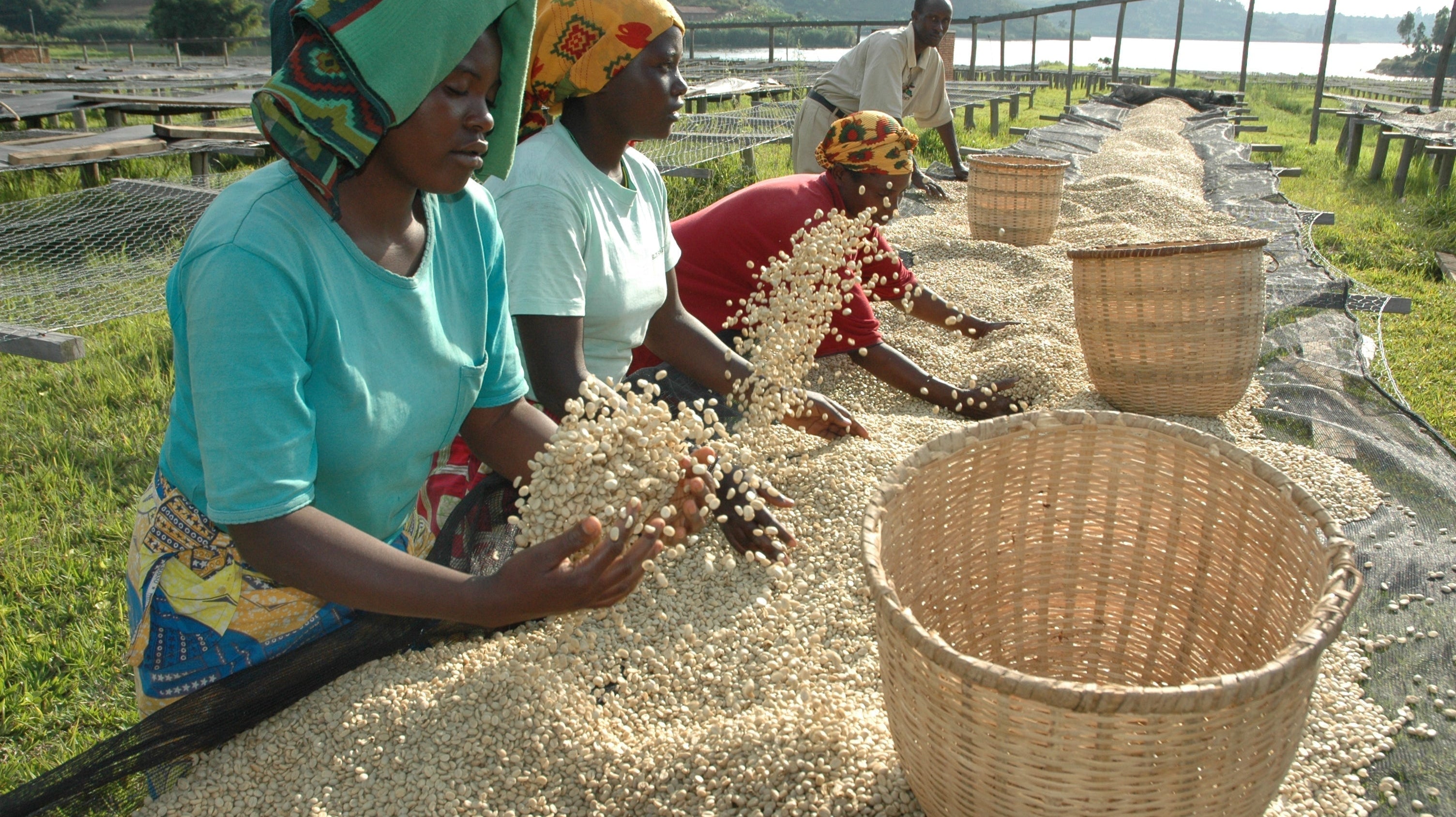 Pride in our Women Partners, this International Women's Day