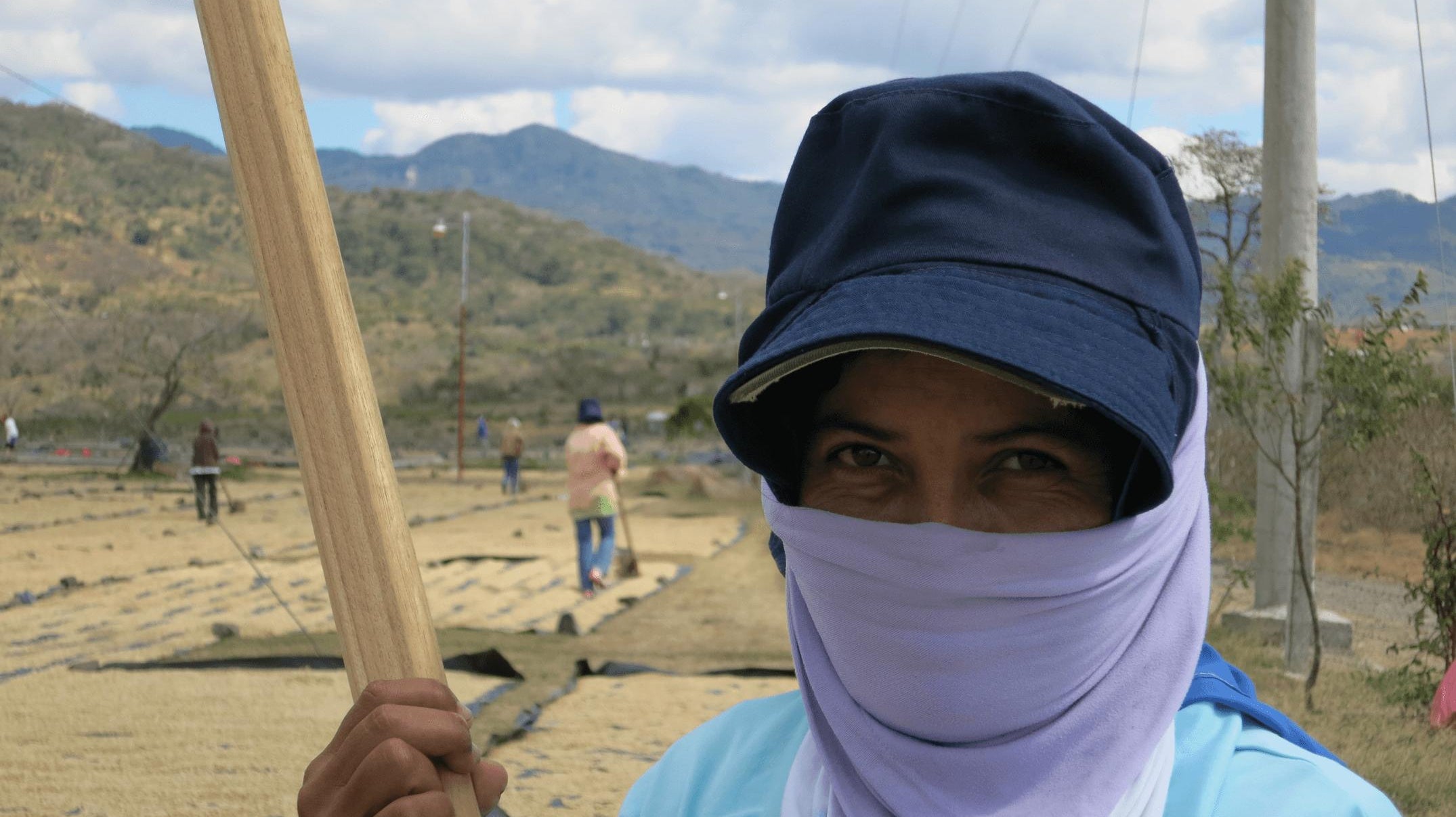 The Unseen Women of Coffee