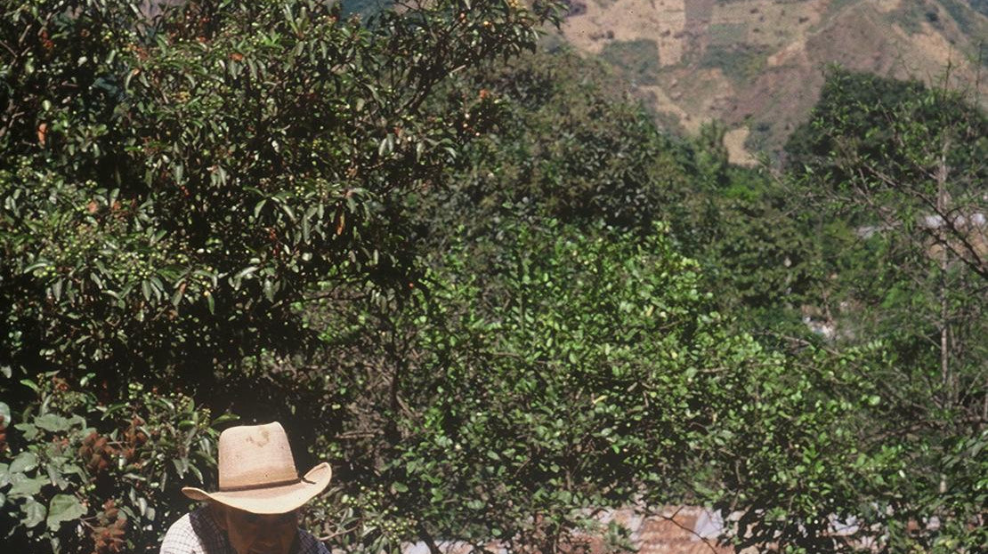 From the Highlands of Guatemala