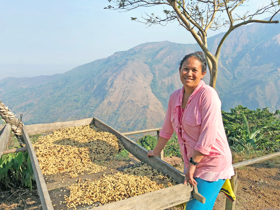 A Colombian woman-farmer. She is standing at a coffee drying table, and there is a gorgeous mountain view in the background.
