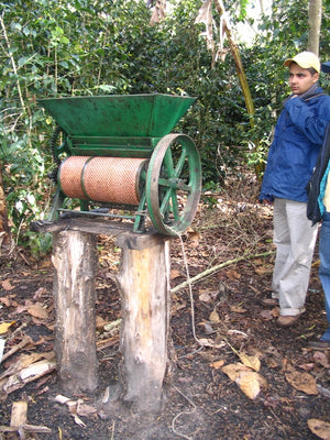 A sugarcane grinder