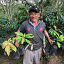 A farmer holding two coffee plant seedlings in front of a forest