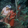 A farmer and a child filling a sack with coffee cherries; a young boy looks on