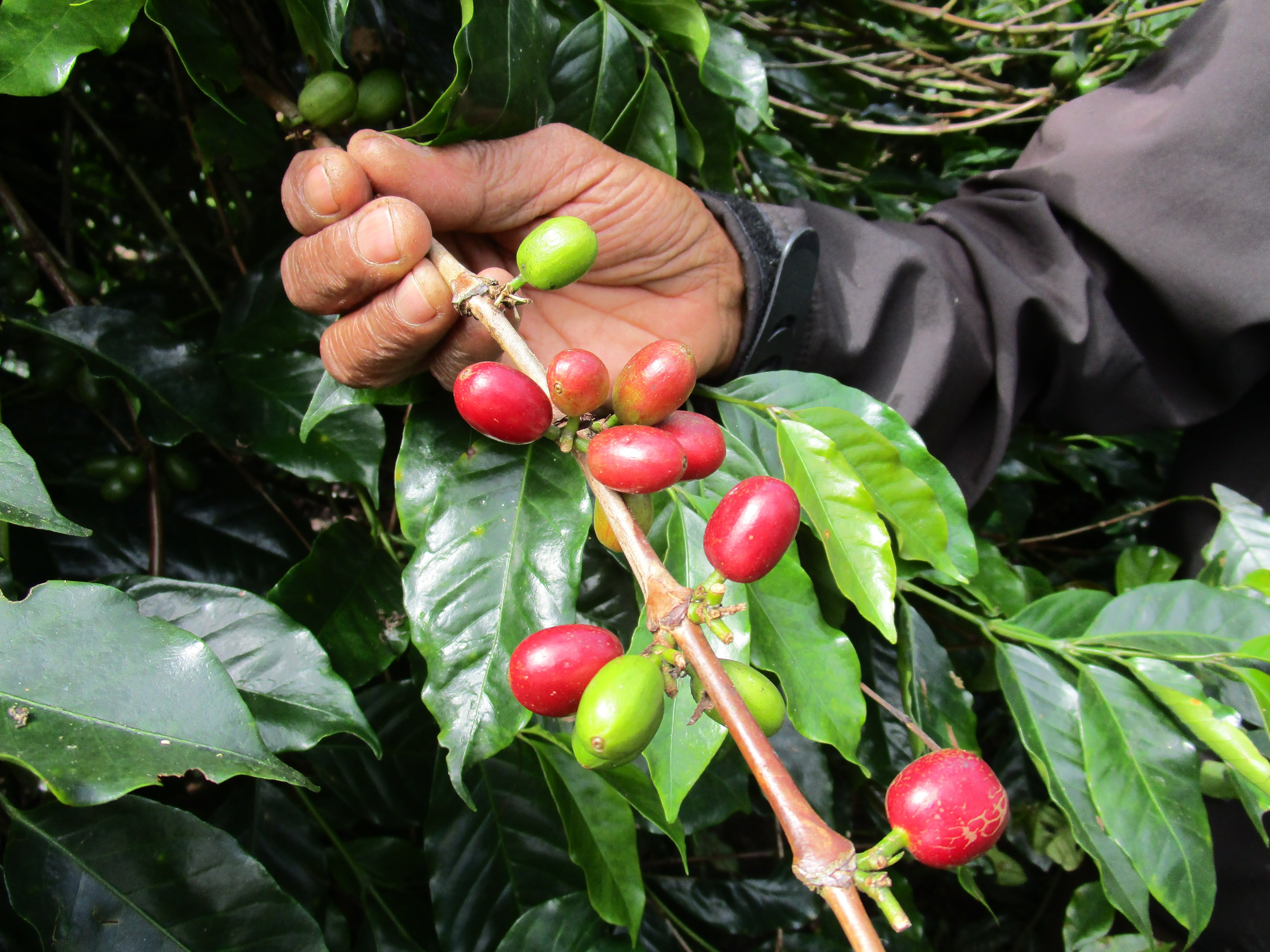 Earth Day 2021: Restore Our Earth