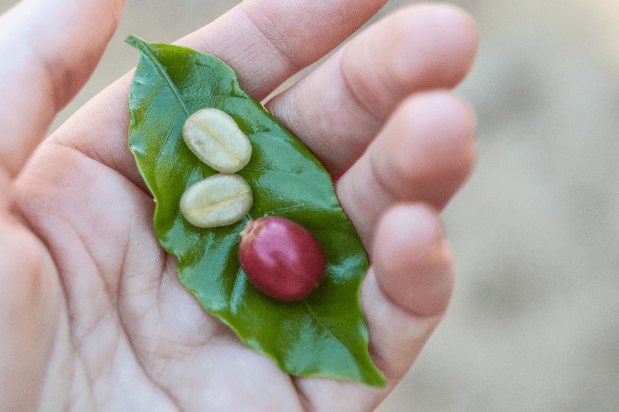 Farewell to Fair Trade Certified?