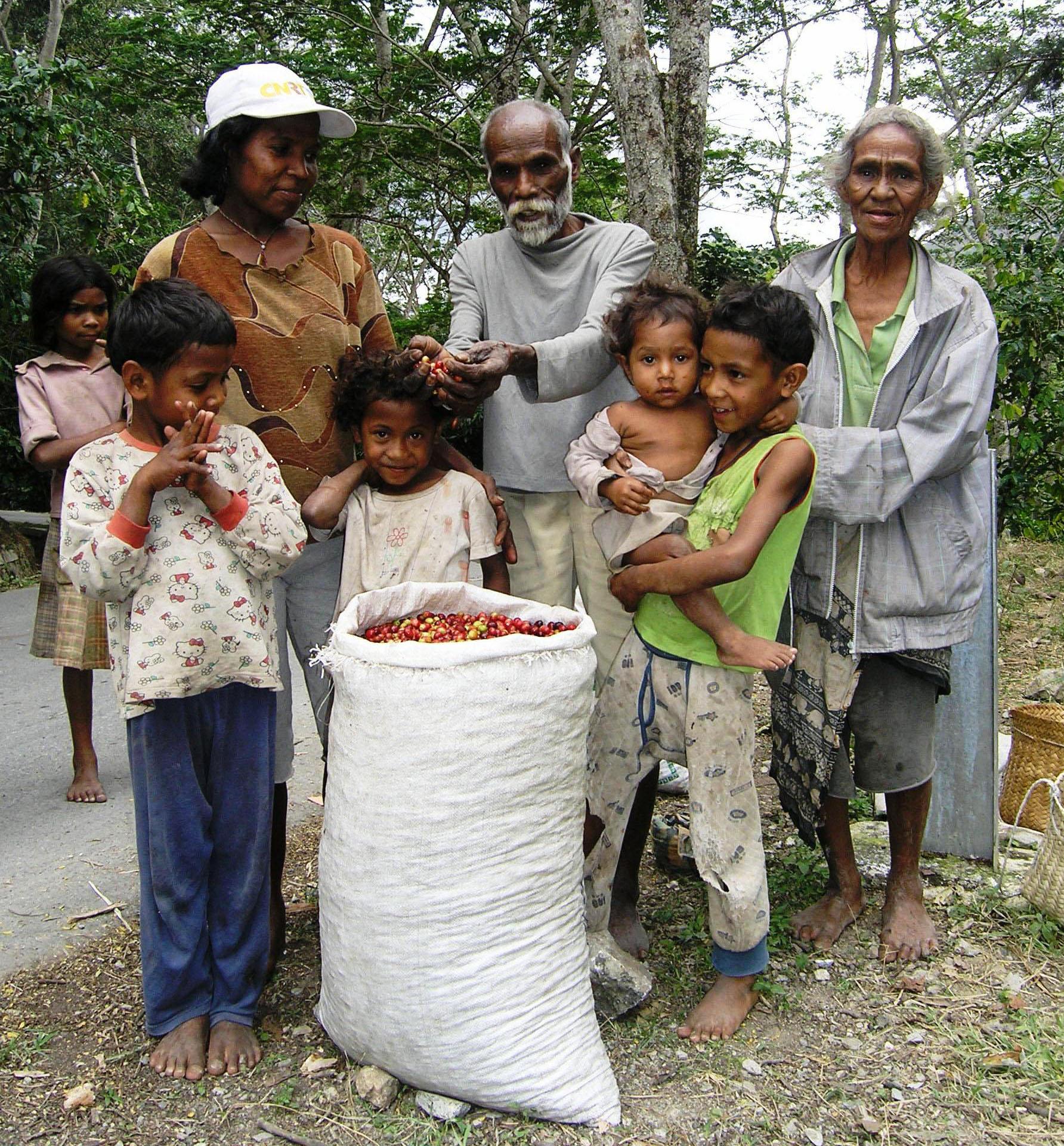 A Taste of Timor