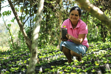 Redefining Leadership in Coffee