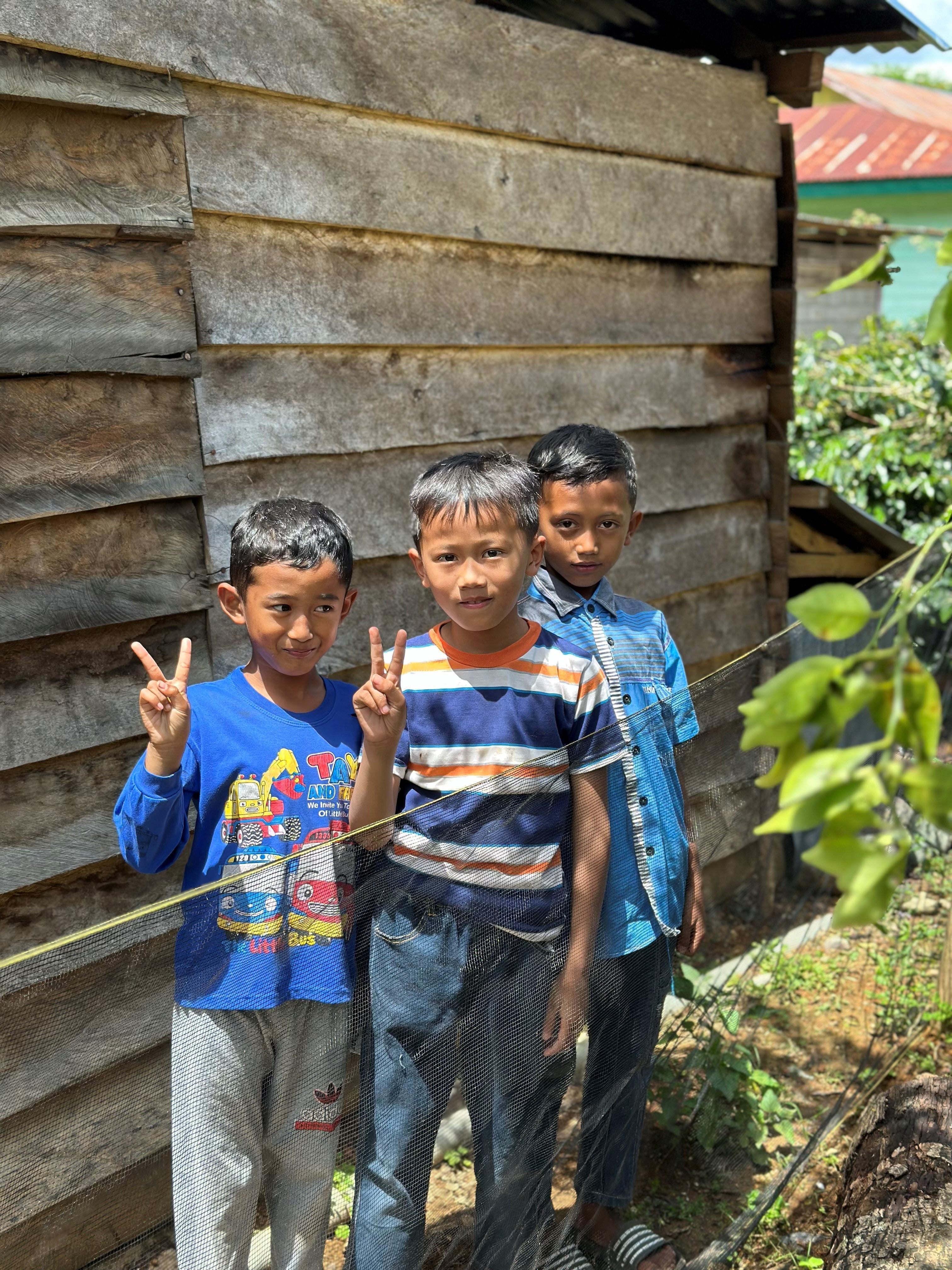 The Magic of Sumatra and its Beautiful Coffee