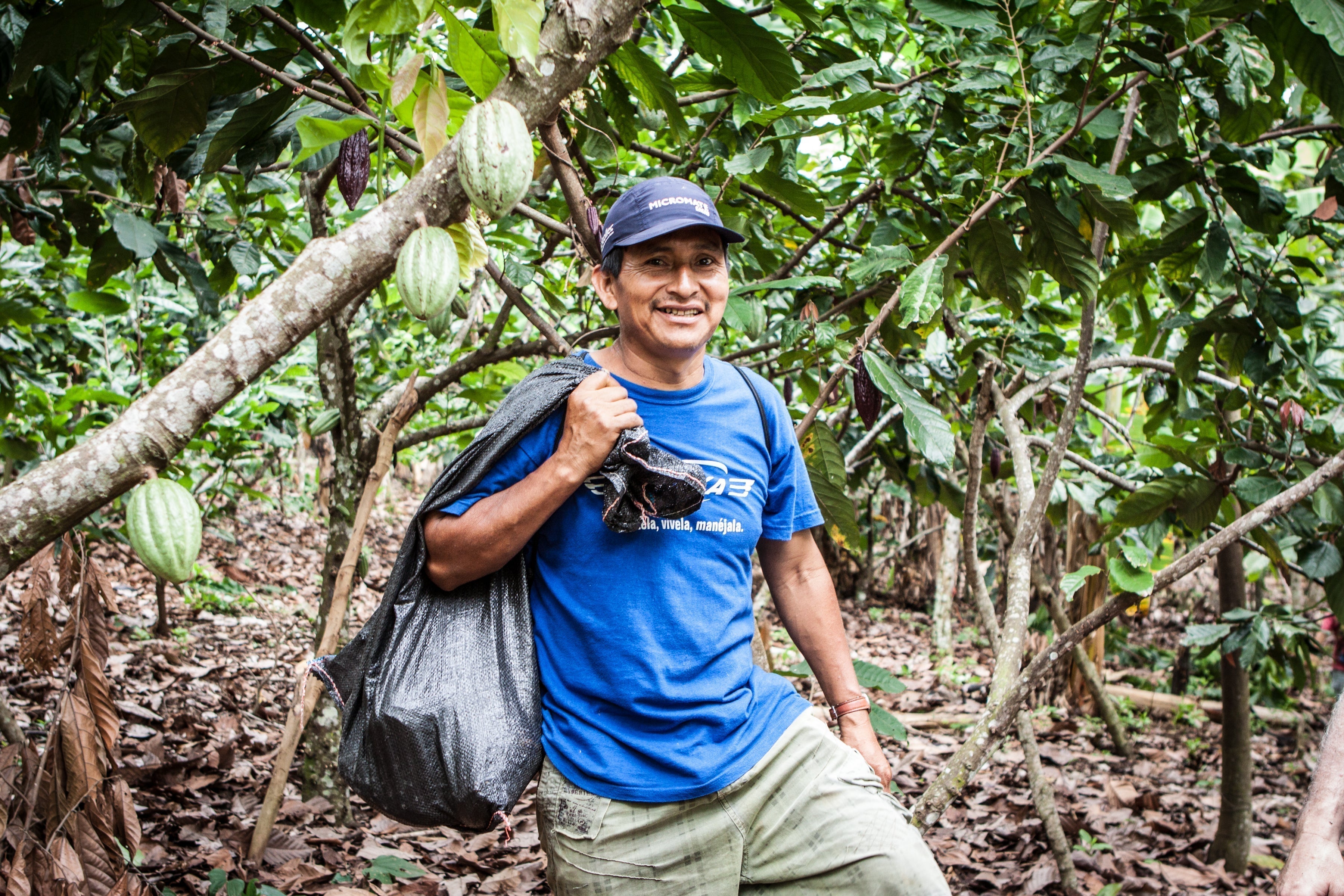 Peruvian Coffee Against Climate Change