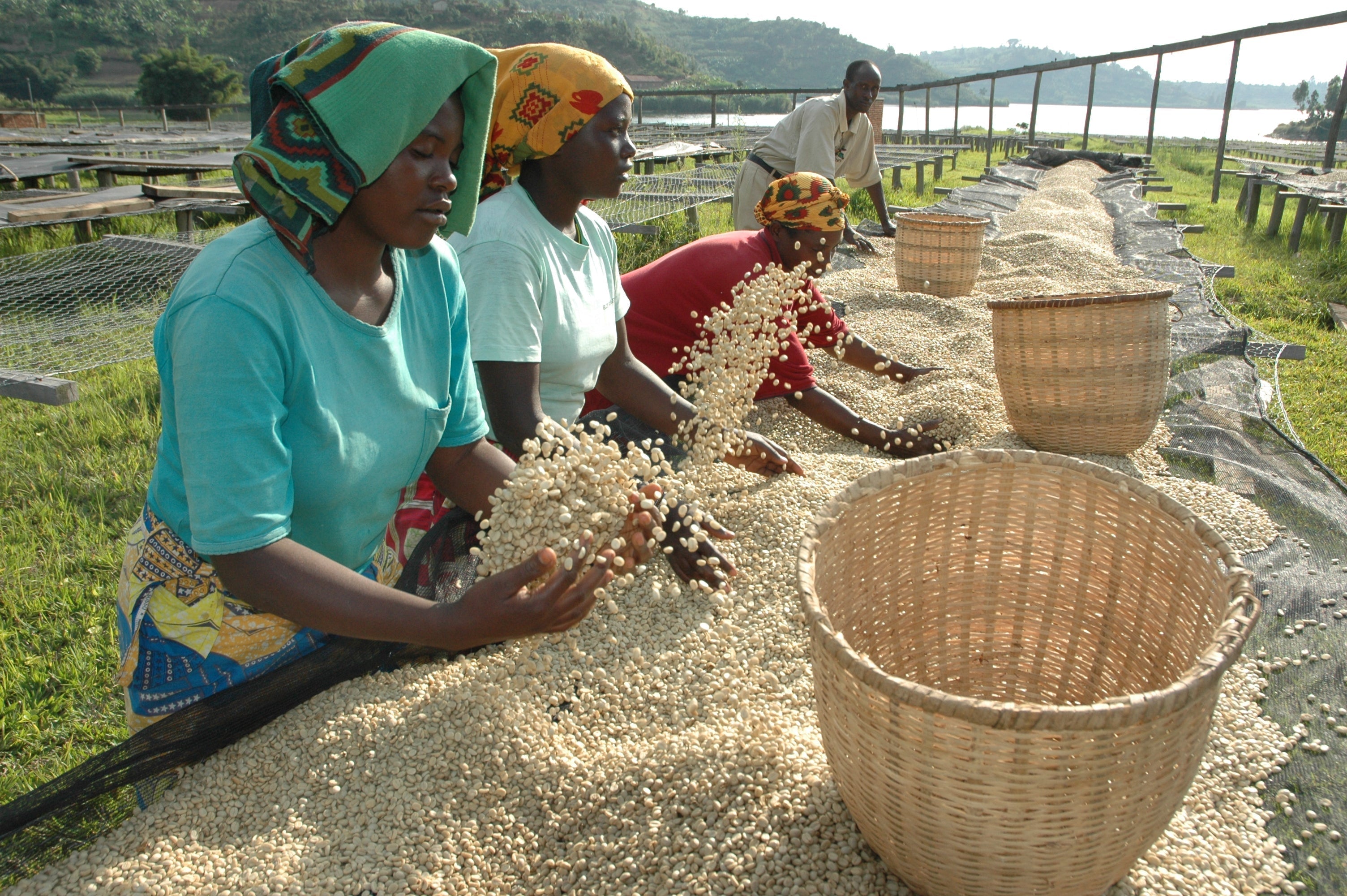 Pride in our Women Partners, this International Women's Day
