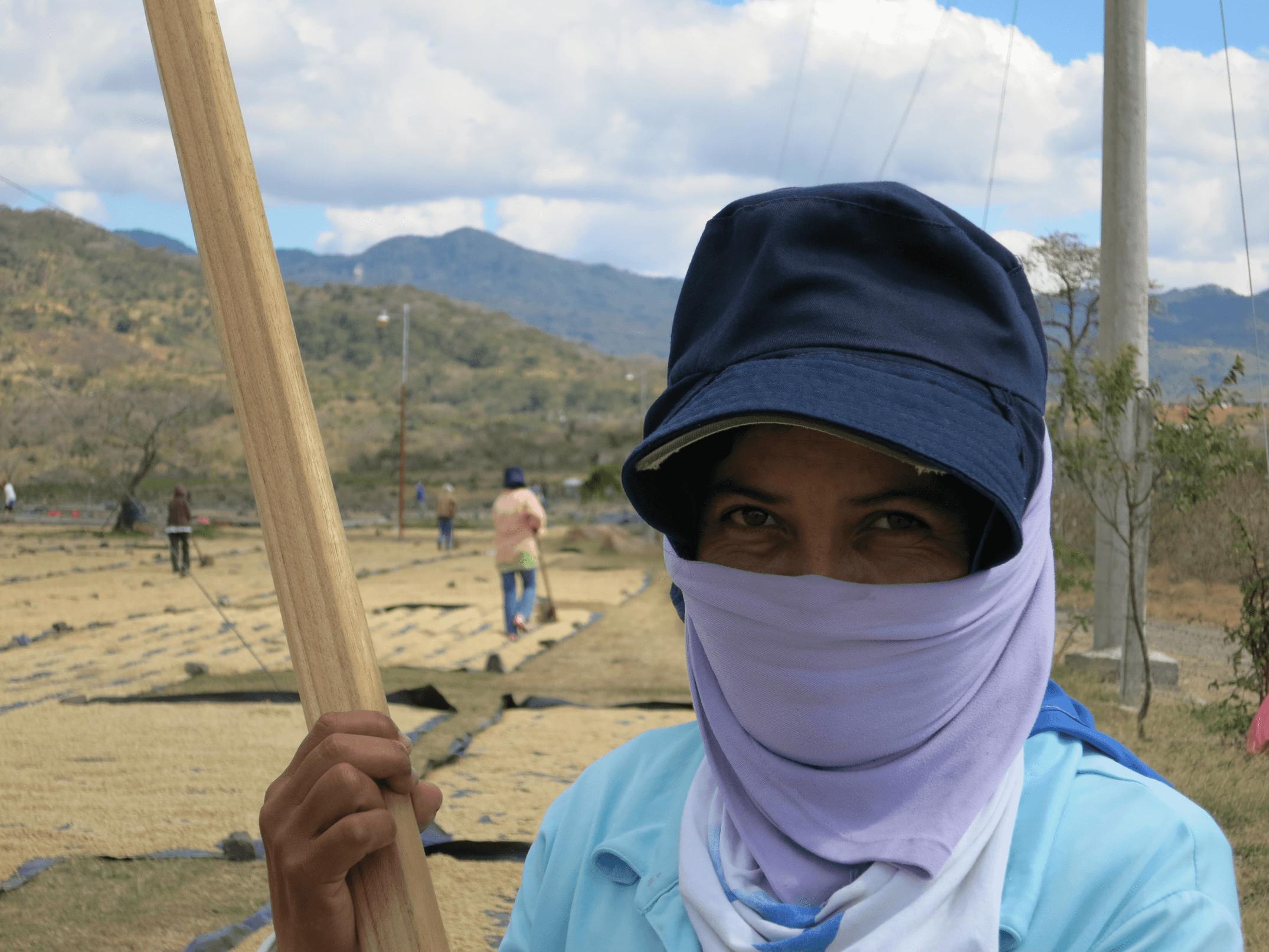 The Unseen Women of Coffee