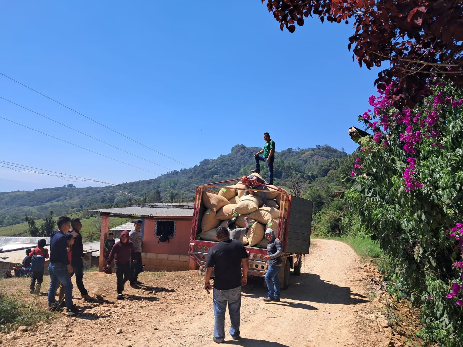 Mexican Chiapas French Roast – Dean's Beans Organic Coffee Company