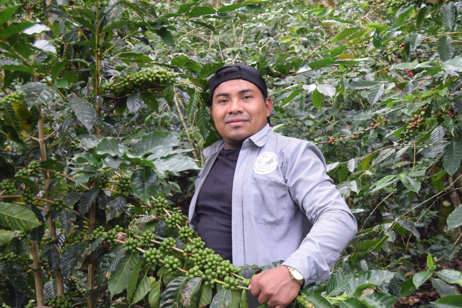 Mexican Chiapas French Roast – Dean's Beans Organic Coffee Company