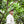 Birdwatcher's Blend