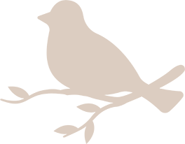 A plain, light brown silhouette of a bird sitting on a tree branch.