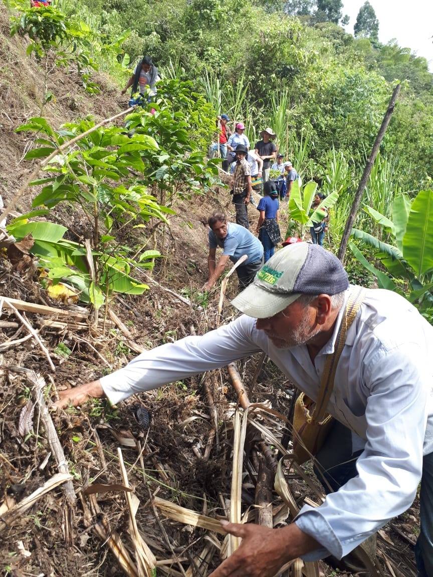 Colombian – Dean's Beans Organic Coffee Company