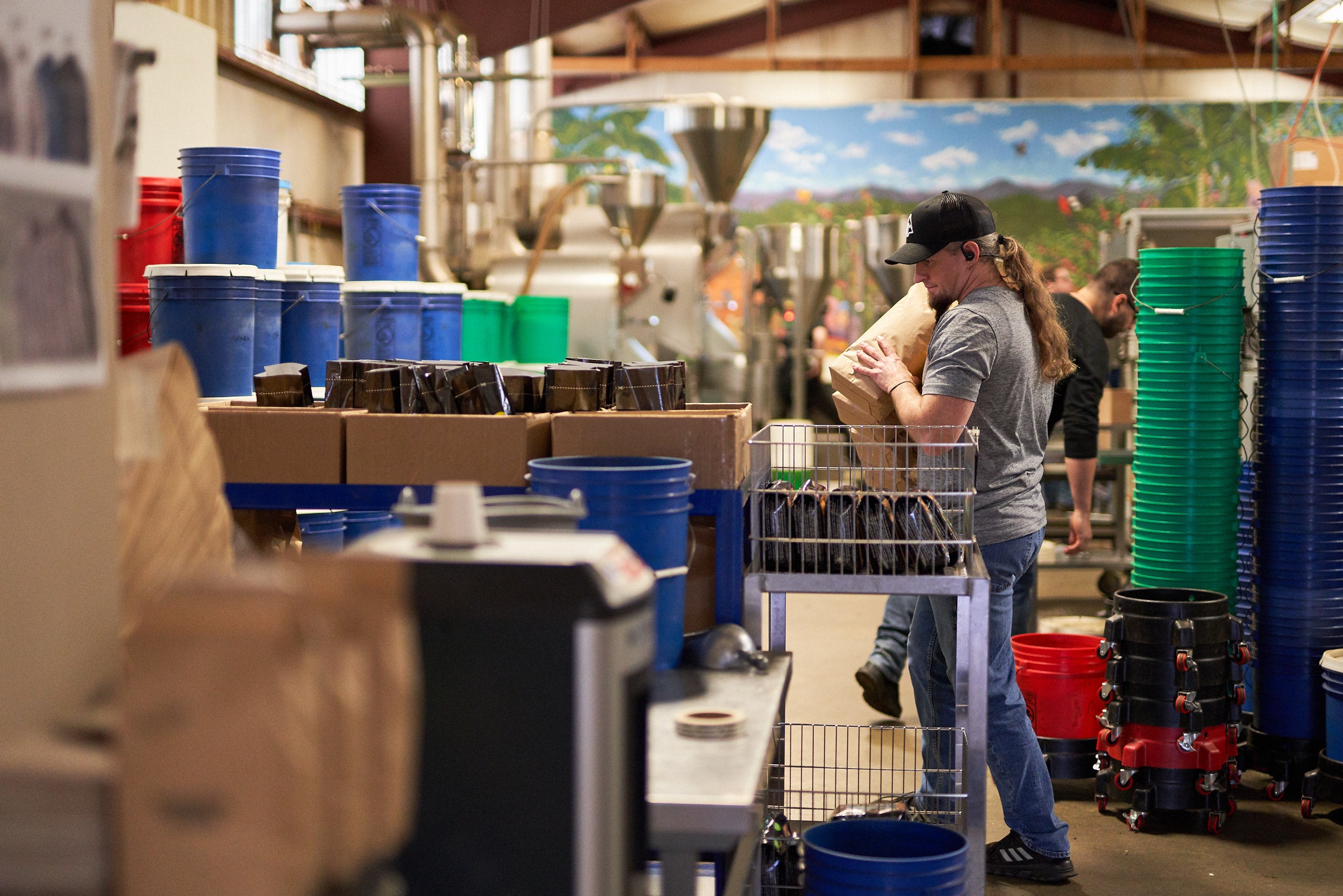 An associate picking coffee in the Beanery