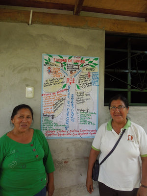 Peruvian Carbon Neutral Coffee