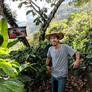a farmer stands among coffee plants