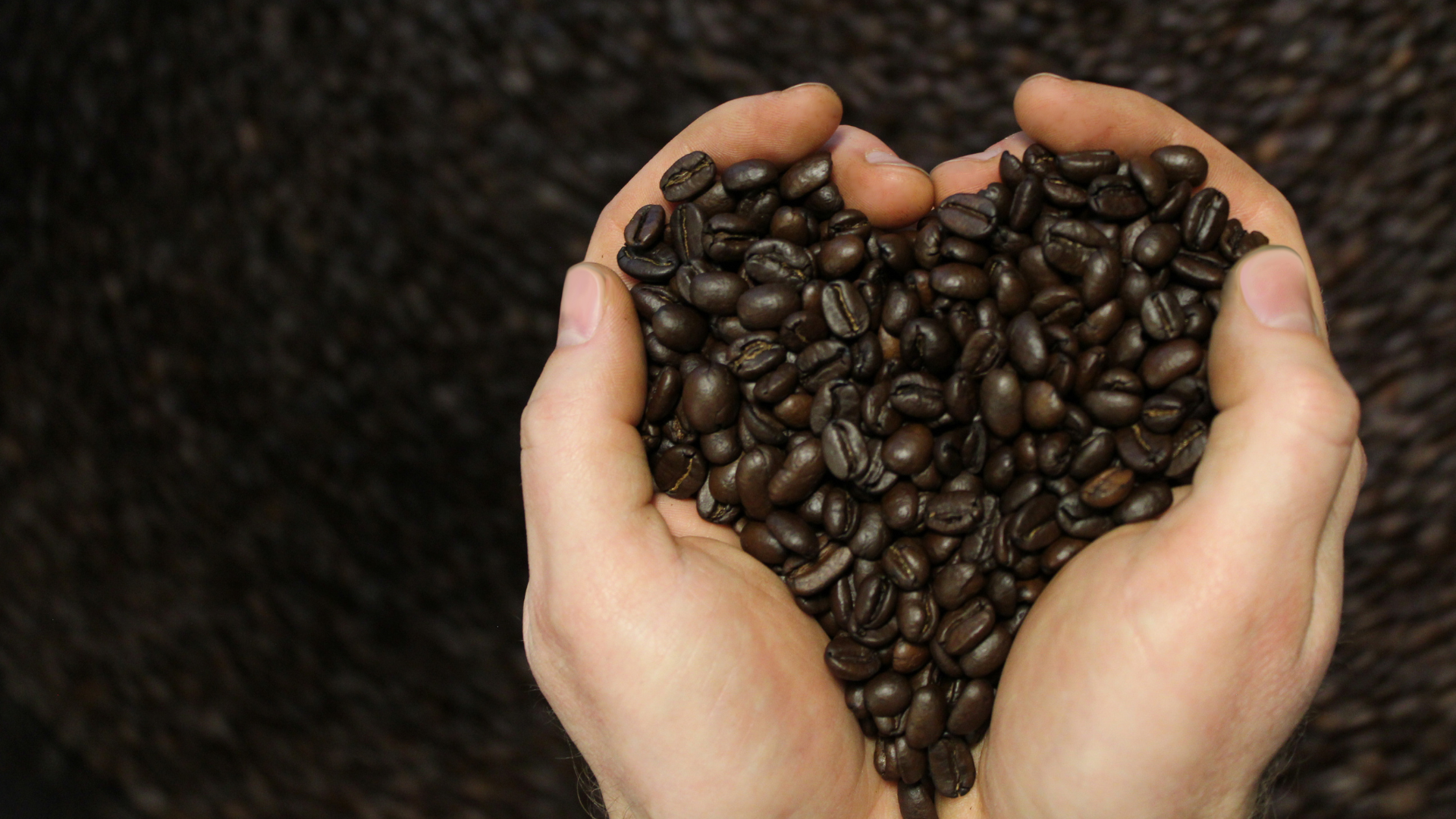 Hands holding a heart-shaped pile of coffee beans against a dark background