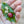 A hand holding a coffee cherry and two green coffee beans on a coffee leaf