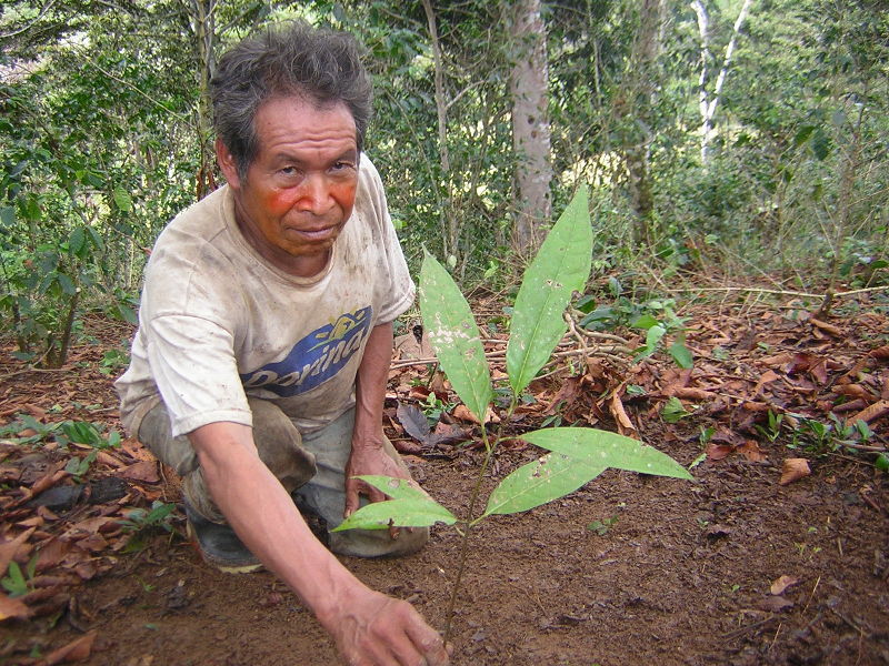 A farmer showing off the coffee seedling he just planted