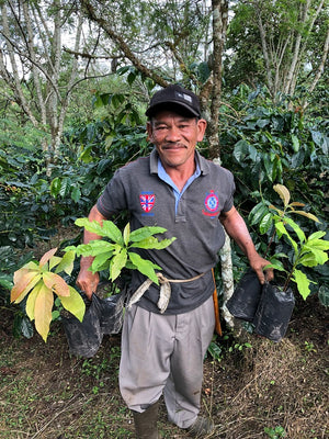 A farmer holding two coffee plant seedlings in front of a forest