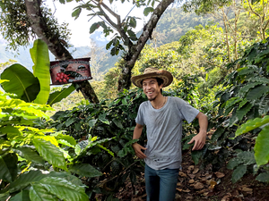 A young Guatemalan farmer surrounded by coffee plants