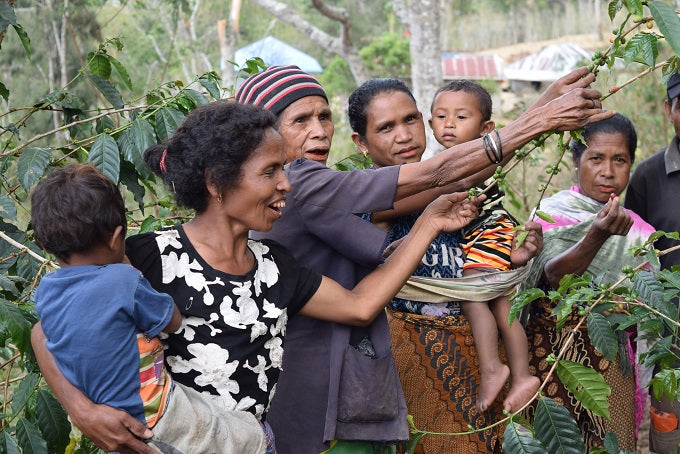 A group of women and children showing off their coffee cherries