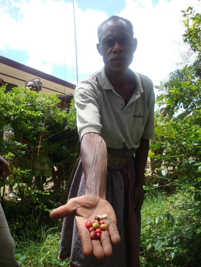 A man holding up coffee cherries to the camera, with people looking on