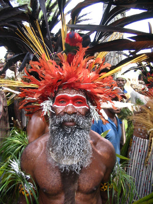A man wearing a traditional headdress and face paint